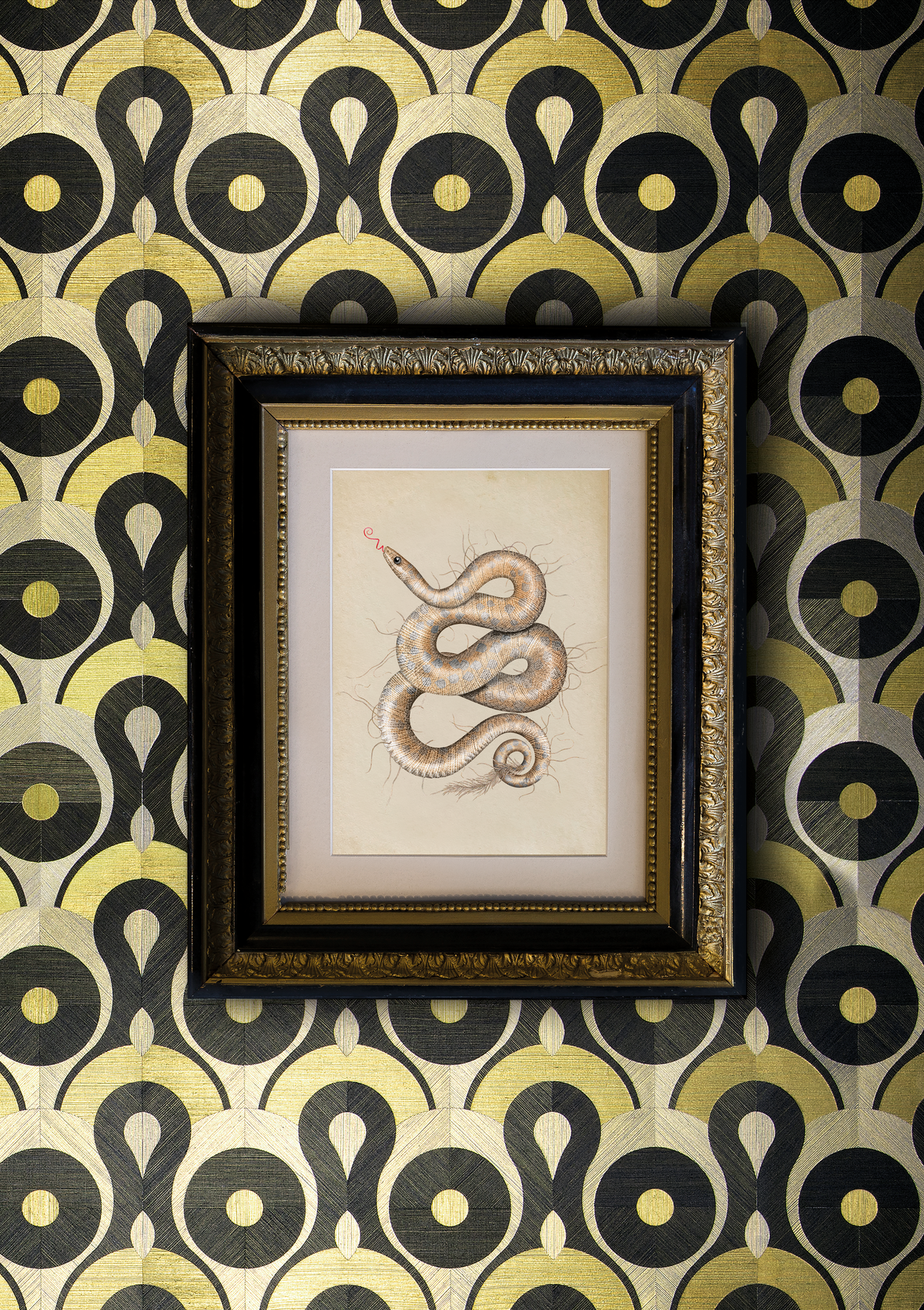 Queen Cobra Wallcovering with drawing of animal in frame
